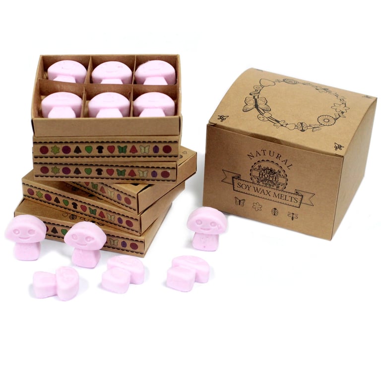 Ylang Ylang Box of 6 Wax Melts - Home Fragrance for a Fresh Ambiance