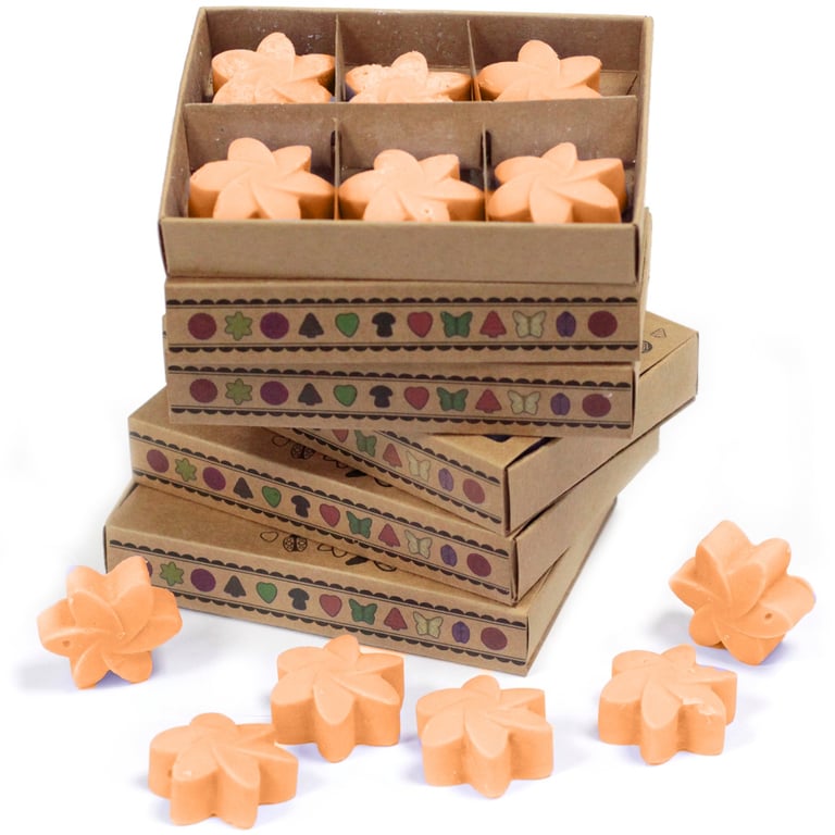 Mango Fruits Wax Melts - Home Fragrance Essentials for a Fresh Room Atmosphere