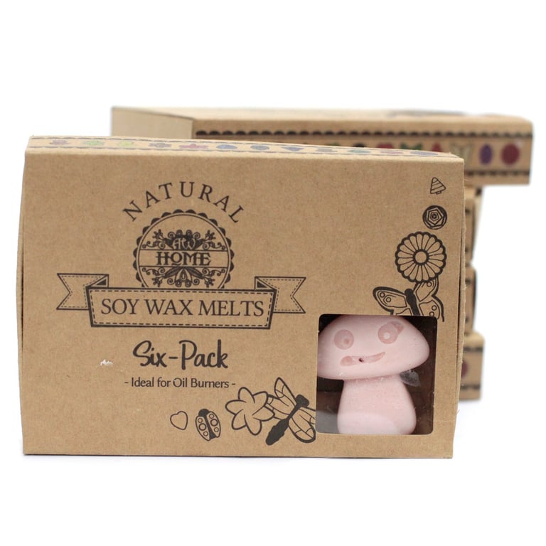 Old Ginger Wax Melts - Cozy Home Fragrance Alternative to Scented Candles