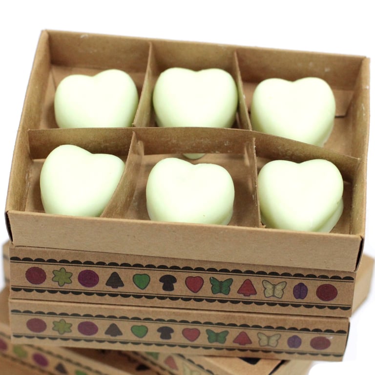 Watermelon Fresh Box of 6 Wax Melts - Home Fragrance Room Freshener