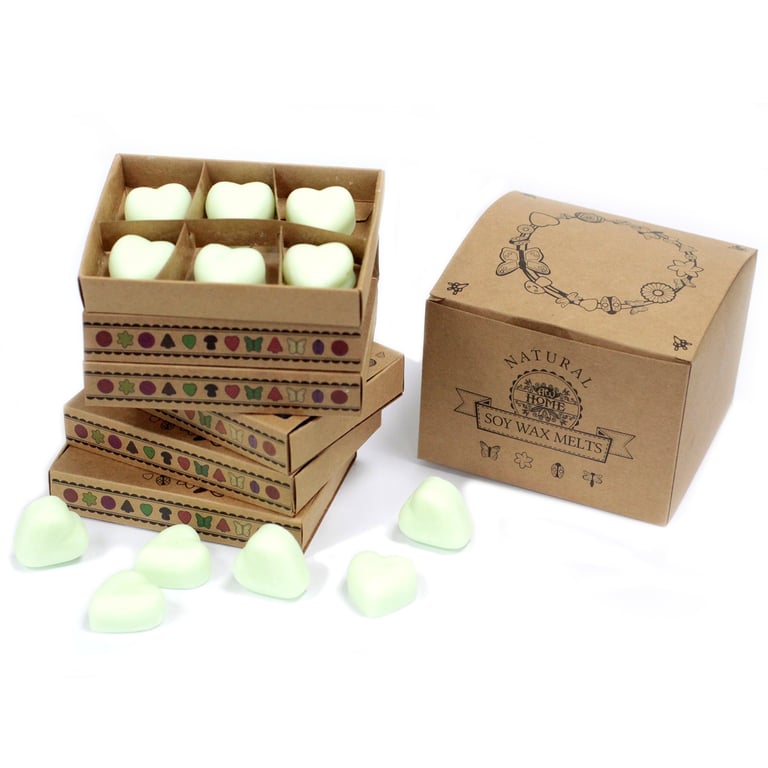 Watermelon Fresh Box of 6 Wax Melts - Home Fragrance Room Freshener