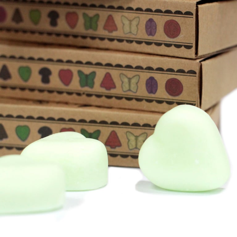 Watermelon Fresh Box of 6 Wax Melts - Home Fragrance Room Freshener