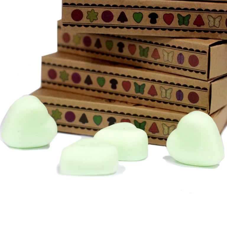 Watermelon Fresh Box of 6 Wax Melts - Home Fragrance Room Freshener