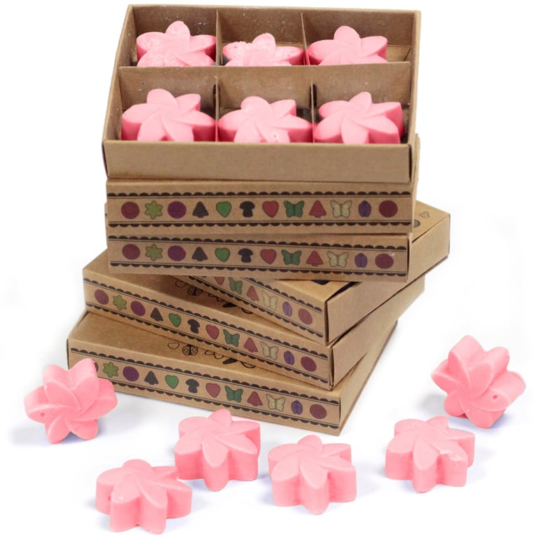 Japanese Magnolia Scented Wax Melts - 6-Pack Home Fragrance Set
