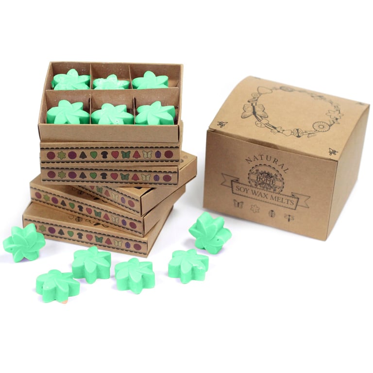 Hidden Garden Wax Melts - Long Lasting Home Fragrance and Room Deodorizer Alternative to Scented Candles