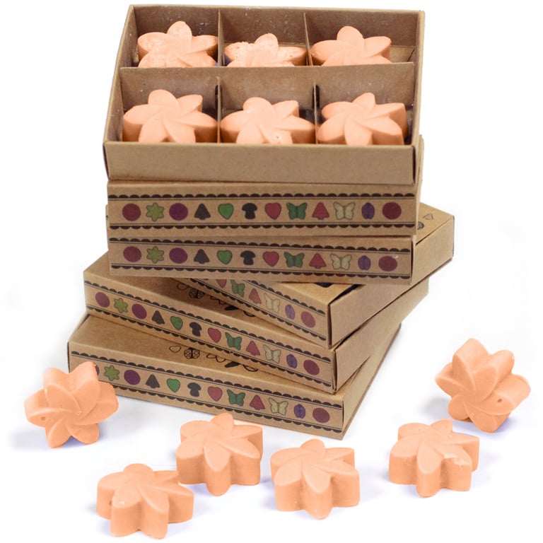 Tuberose Wax Melts - 6 Pack Home Fragrance Alternative to Scented Candles and Room Fresheners