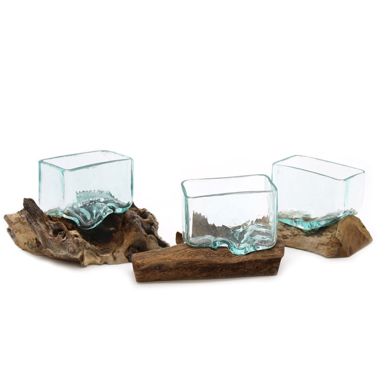 Glass Tank Bowl (Small) on Wood Stand - Molten Design