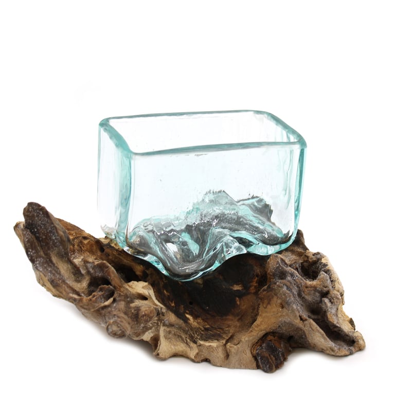 Glass Tank Bowl (Small) on Wood Stand - Molten Design