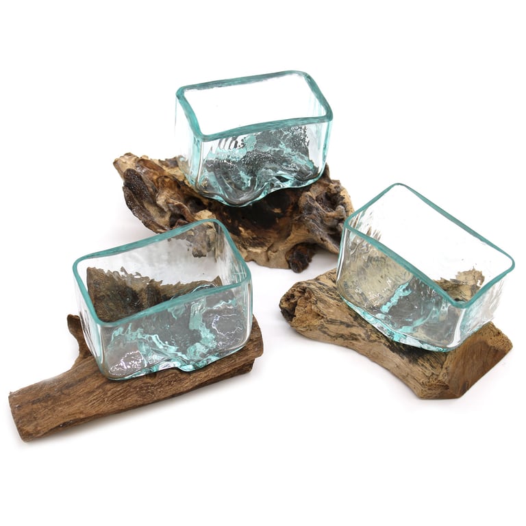Glass Tank Bowl (Small) on Wood Stand - Molten Design