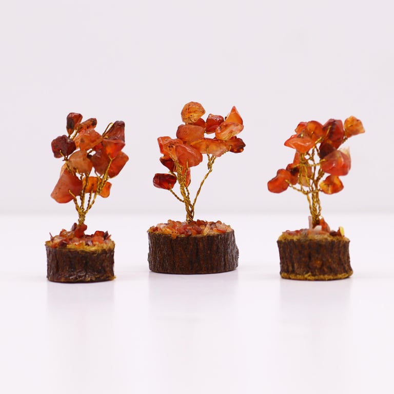 Mini Carnelian Gemstone Tree on Wooden Base - 15 Colorful Stones Decoration