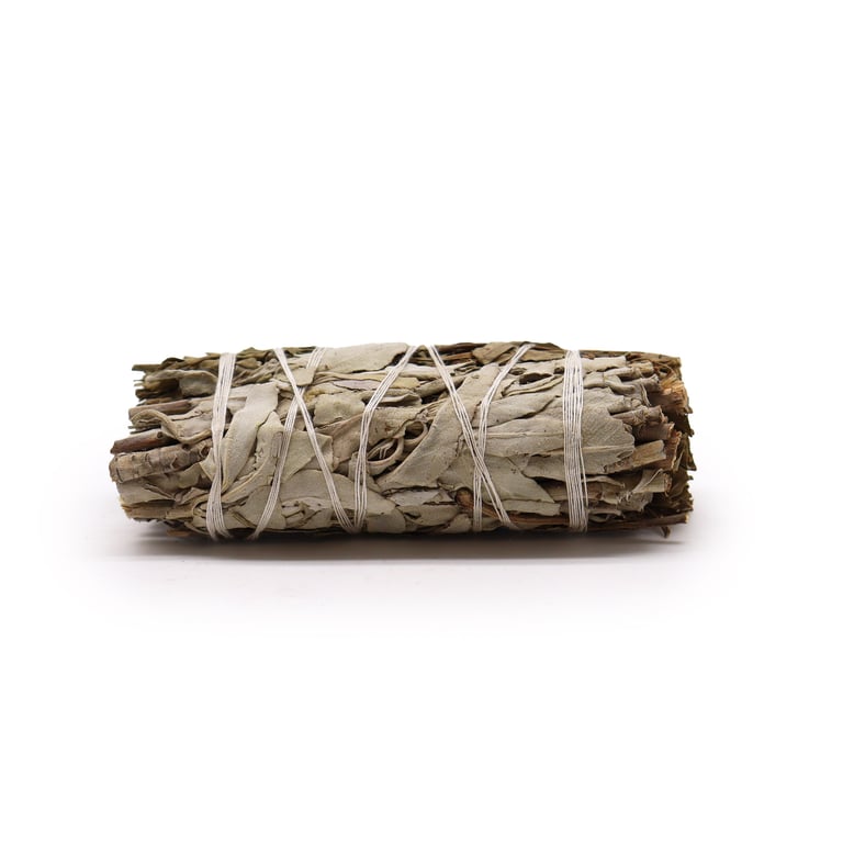 White Sage and Pirul Foliage Natural Smudge Stick for Aromatherapy and Purification