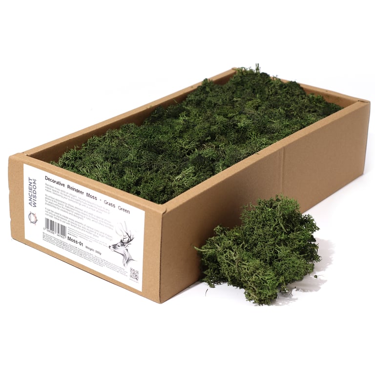 Grass Green Decoration Moss (500gm) - Realistic Reindeer Style