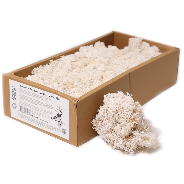 White Decorative Reindeer Moss (500g) - Realistic Snow Effect