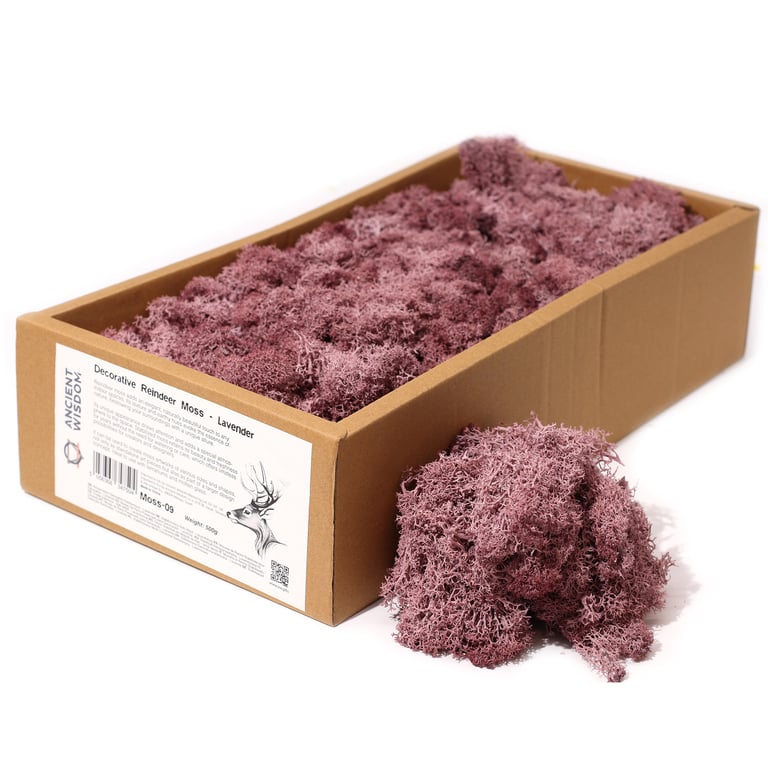 Decorative Lavender Moss Reindeer (500g)