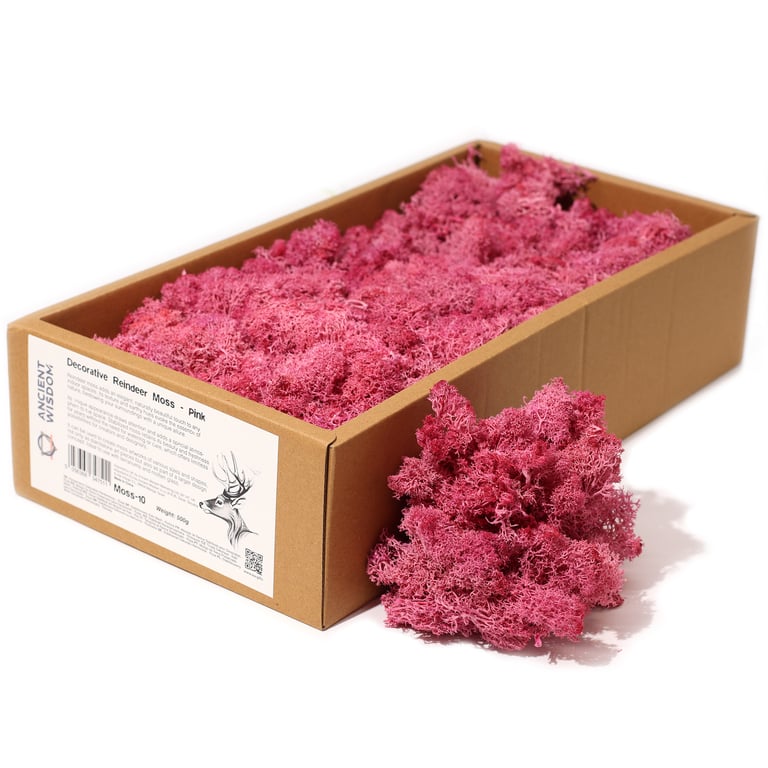 Pink Decorative Reindeer Moss (500g)