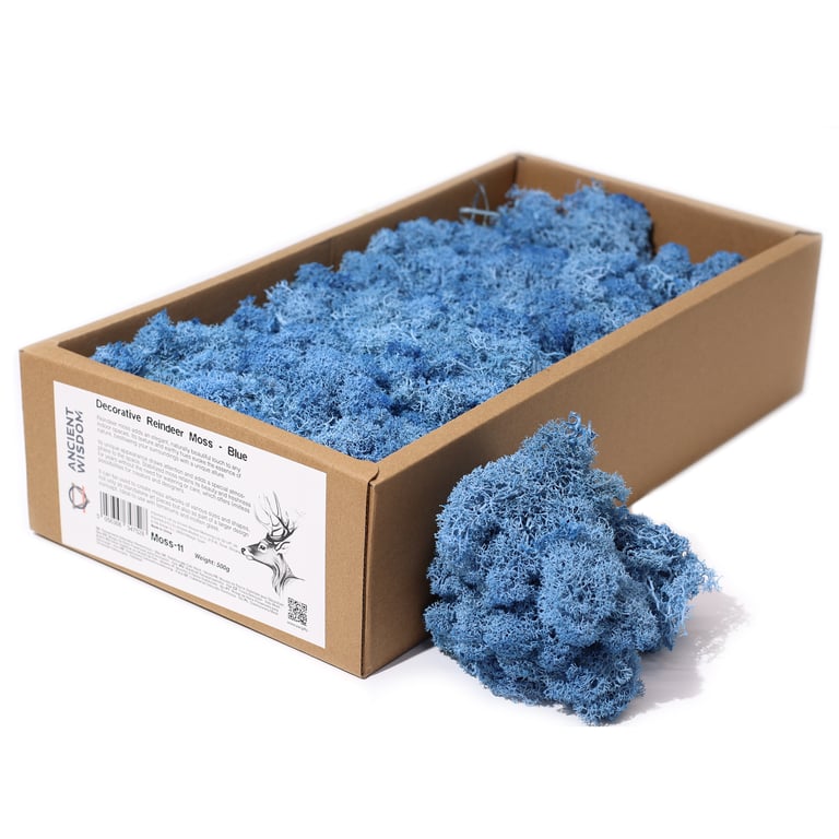 Blue Decorative Reindeer Moss (500g)