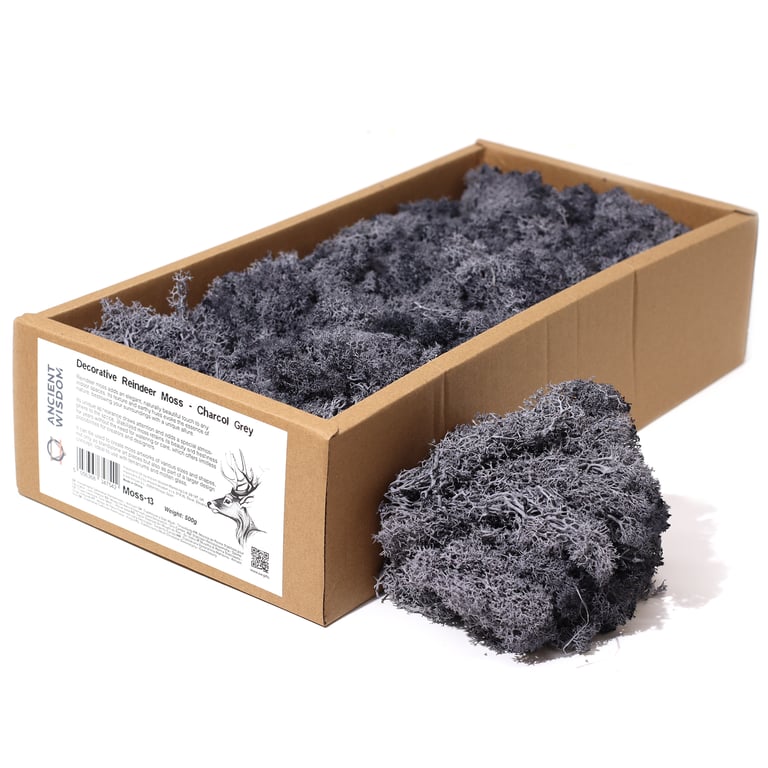 Charcoal Grey Decorative Moss Reindeer (500gm)