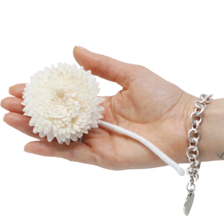 Large Carnation Diffuser Flowers - Natural Aroma by Brand Name