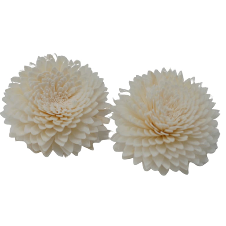Large Carnation Diffuser Flowers - Natural Aroma by Brand Name