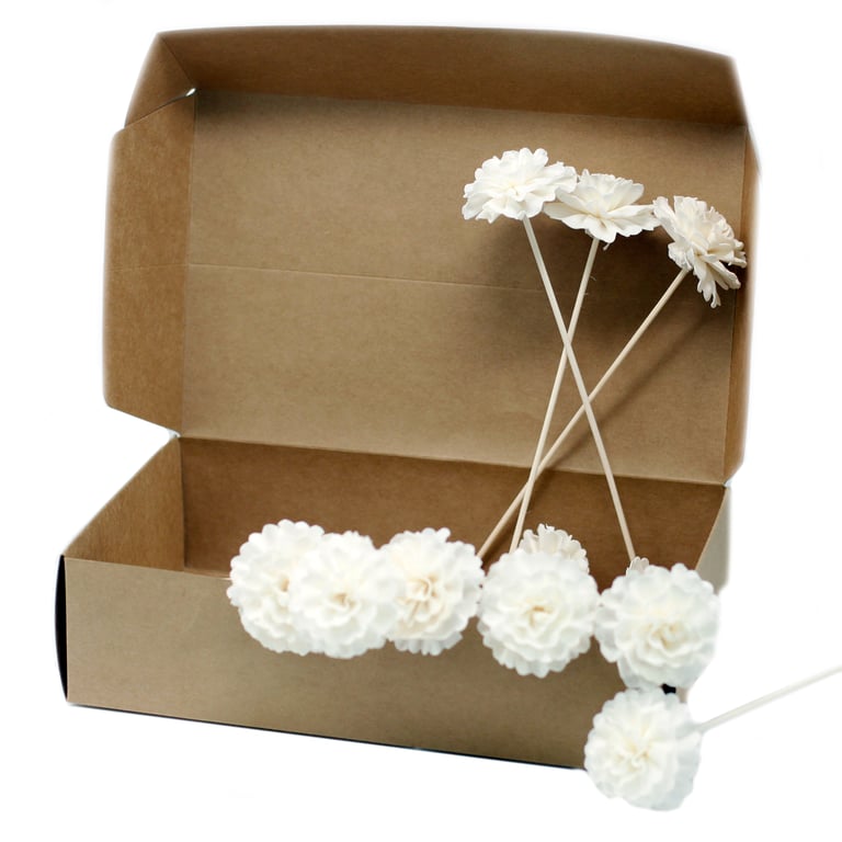 Reed Diffuser - Natural Carnation Flowers Scent - Premium Brand