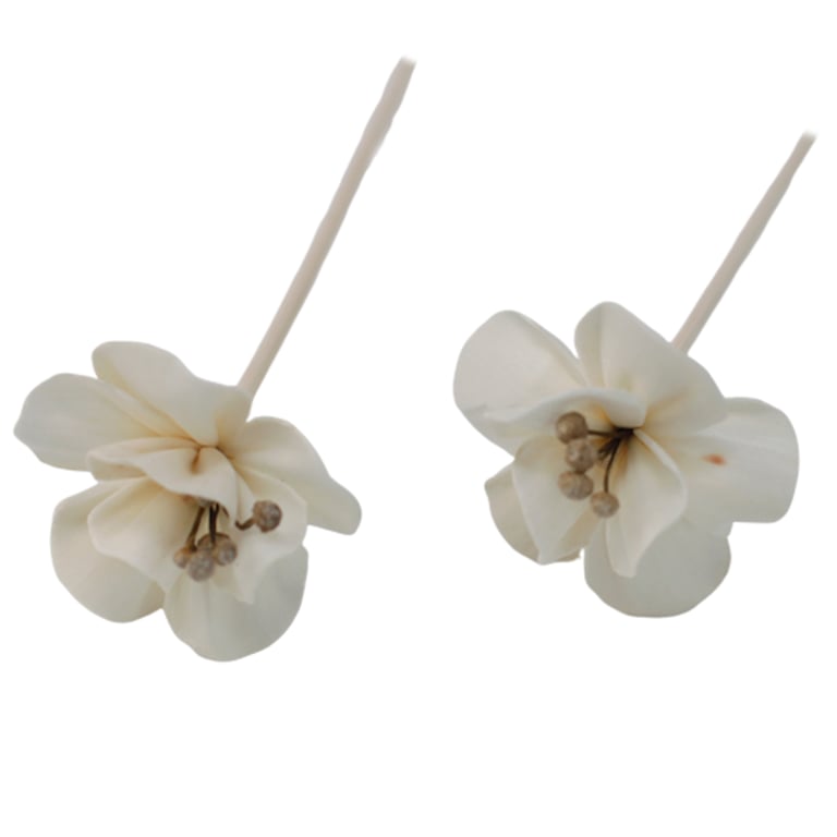 Aromatherapy Reed Diffuser - Natural Lily Flowers - Premium Brand
