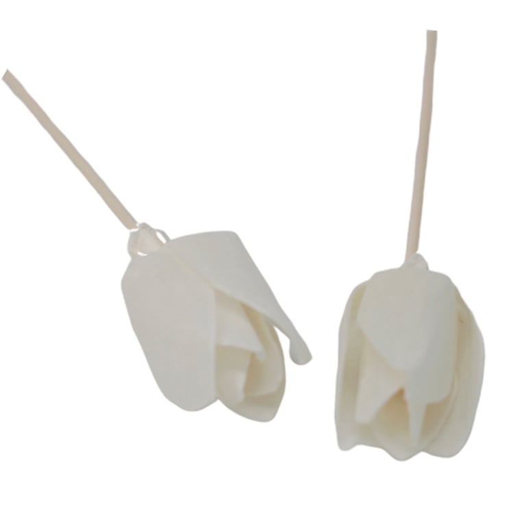 Aromatherapy Diffuser Flowers - Tulip Reed - Natural Bliss