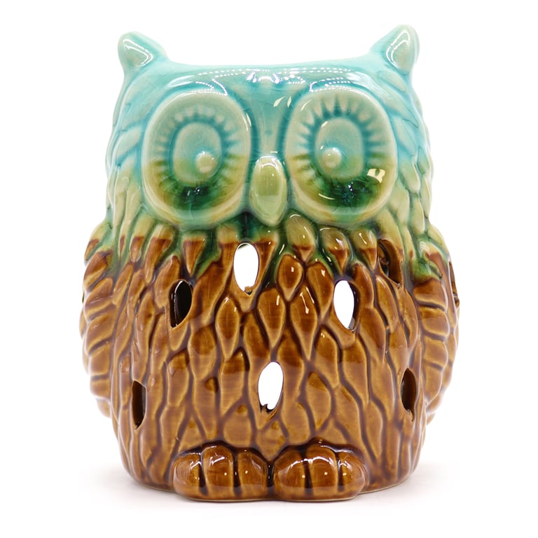 Classic Rustic Oil Burner - Owl Decor with Farmhouse Style and Ambiance