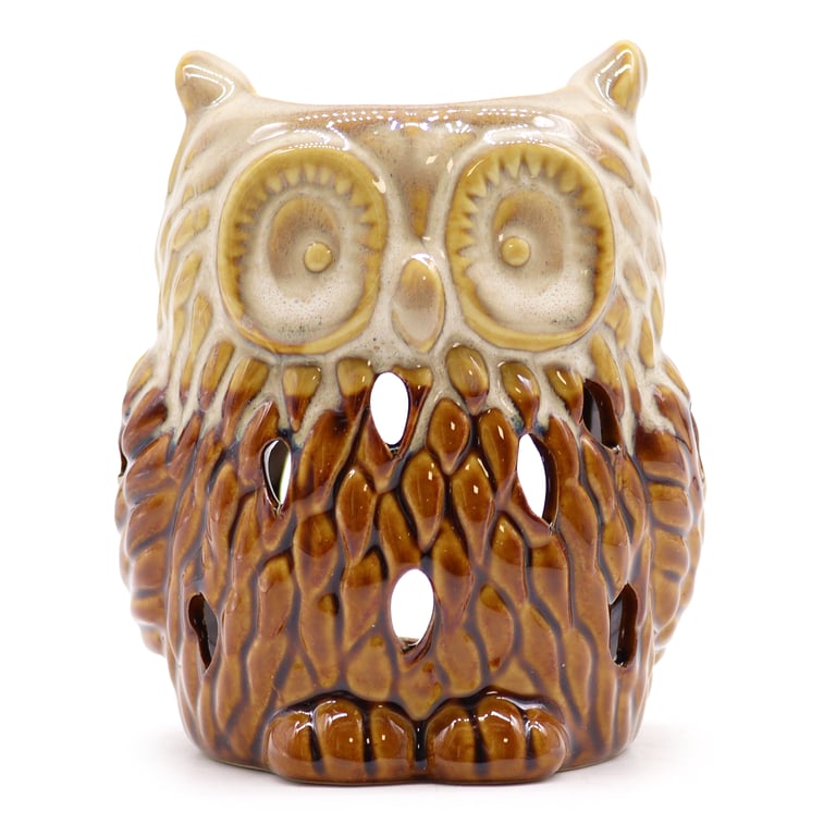 Classic Rustic Oil Burner - Owl Decor with Farmhouse Style and Ambiance
