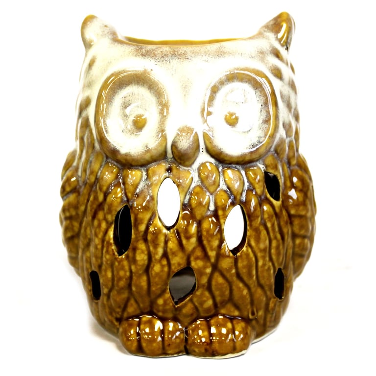 Classic Rustic Oil Burner - Owl Decor with Farmhouse Style and Ambiance