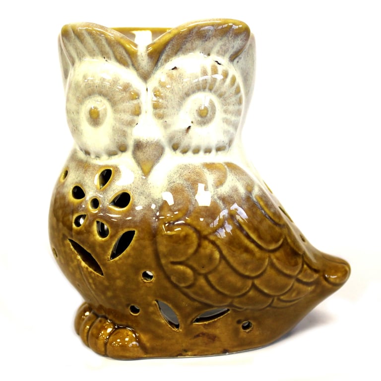 Classic Rustic Owl Side-on Oil Burner - Vintage Farmhouse Decor