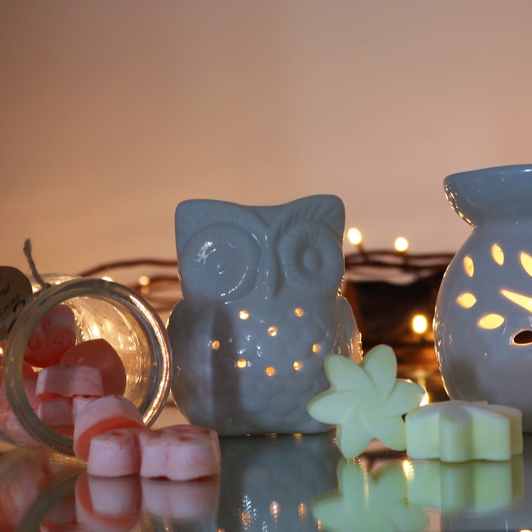 Classic White Oil Burner - Elegant Home Decor and Scented Candle Alternative by Tall Owl