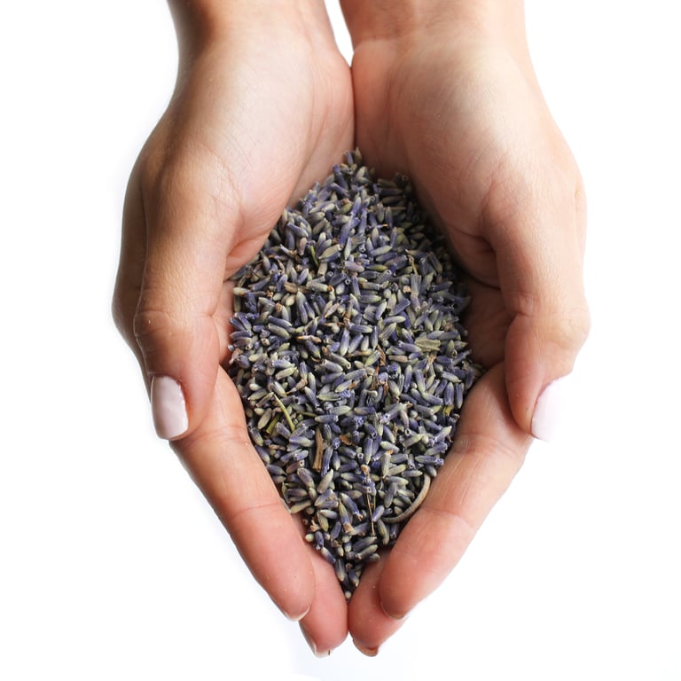 1KG Organic Lavender Flowers - Aromatic & Relaxing - Premium Quality