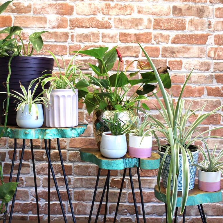3-Piece Gamal Wood Plant Stand Set - Eco-Friendly Greenwash Design