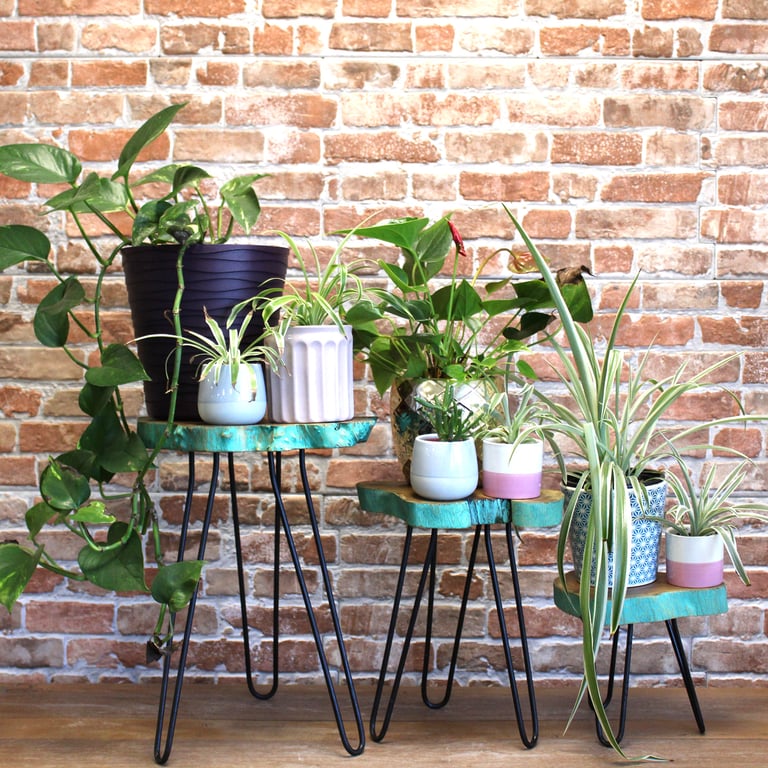 3-Piece Gamal Wood Plant Stand Set - Eco-Friendly Greenwash Design