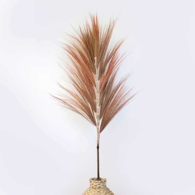 1.6m Rayung Grass Coral - Large Live Aquarium Decoration - Rayung
