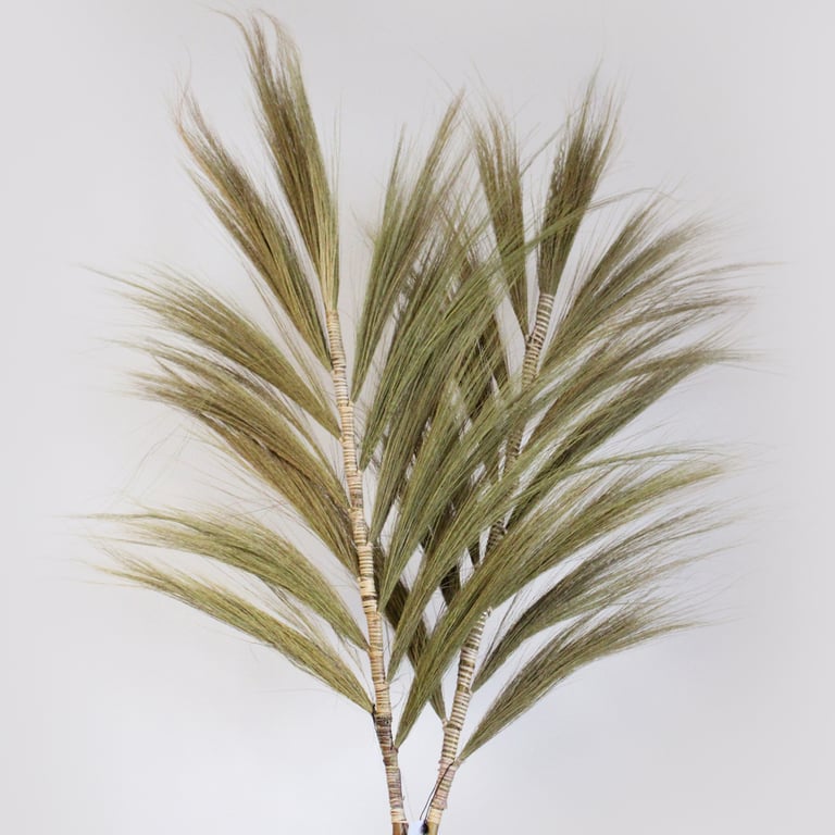 2m Natural Rayung Grass (Brand Name) - Eco-Friendly, Sustainable Landscaping Solution