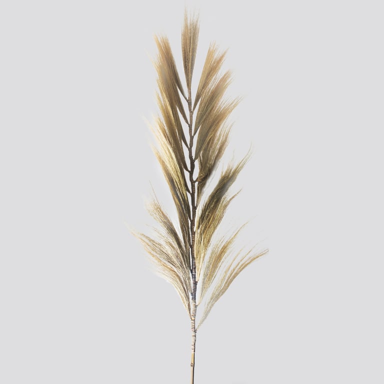 2m Rayung Grass Blond Artificial Turf - Realistic Look & Durable Quality