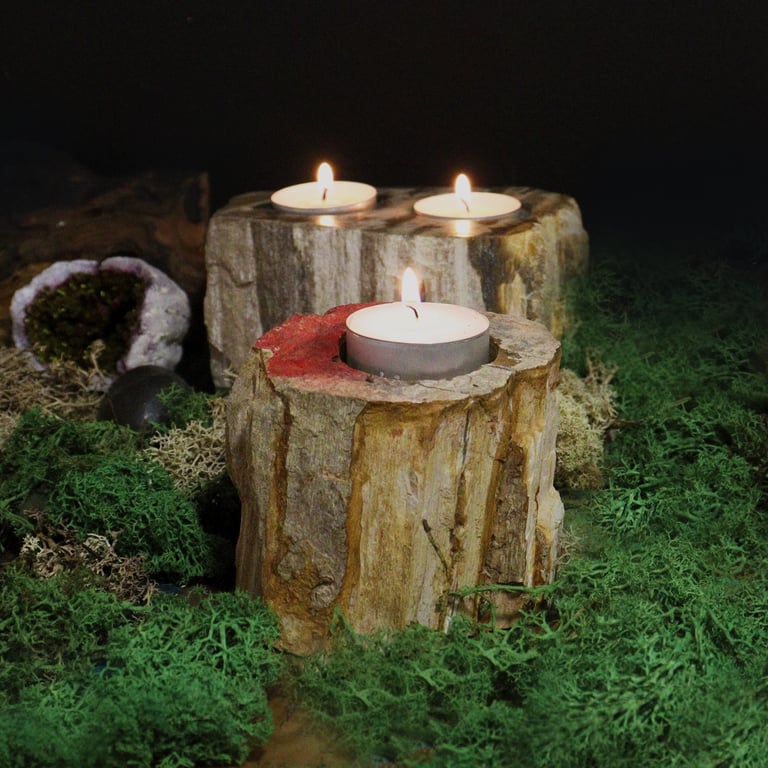 Petrifed Wood Candle Holder - Unique Low Stand