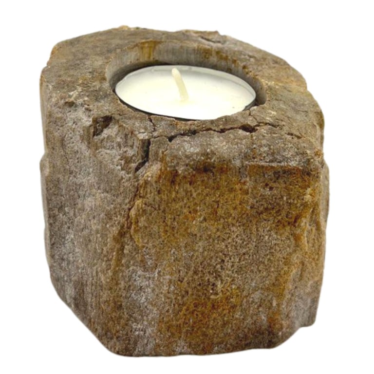 Petrifed Wood Candle Holder - Unique Low Stand