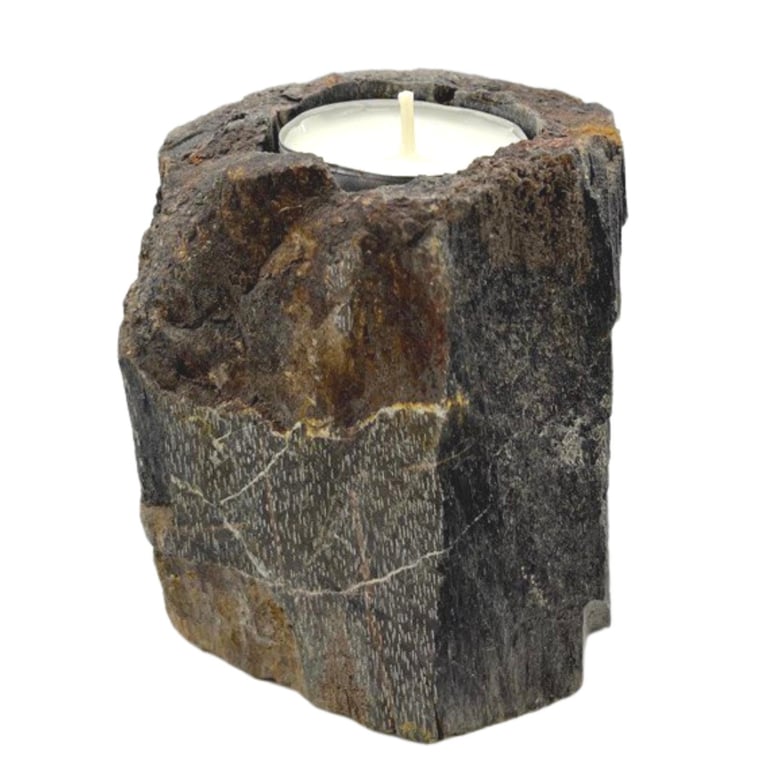 Petrifed Wood Candle Holder - Unique Low Stand