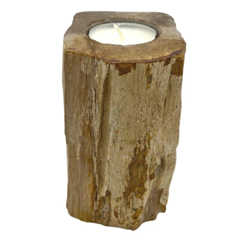 Tall Petrified Wood Candle Holder - Unique Decorative Accent