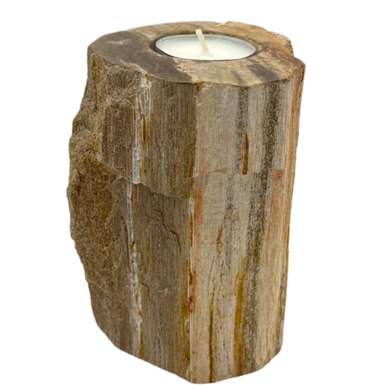 Tall Petrified Wood Candle Holder - Unique Decorative Accent