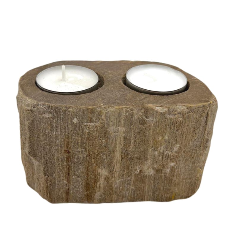 Double Petrified Wood Candle Holder - Decorative & Unique