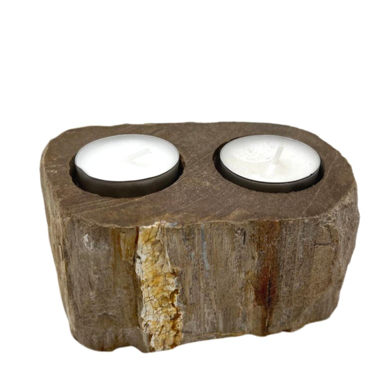 Double Petrified Wood Candle Holder - Decorative & Unique