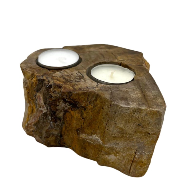Double Petrified Wood Candle Holder - Decorative & Unique