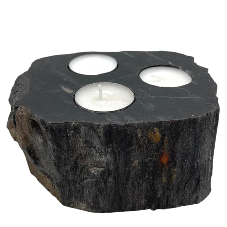 Triple Petrified Wood Candle Holder - Decorative & Unique