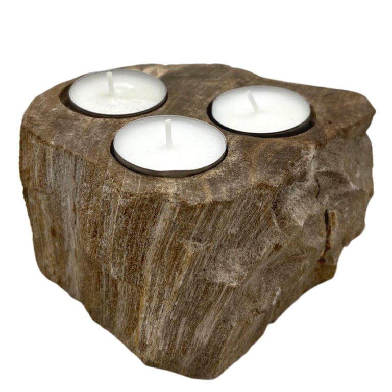 Triple Petrified Wood Candle Holder - Decorative & Unique