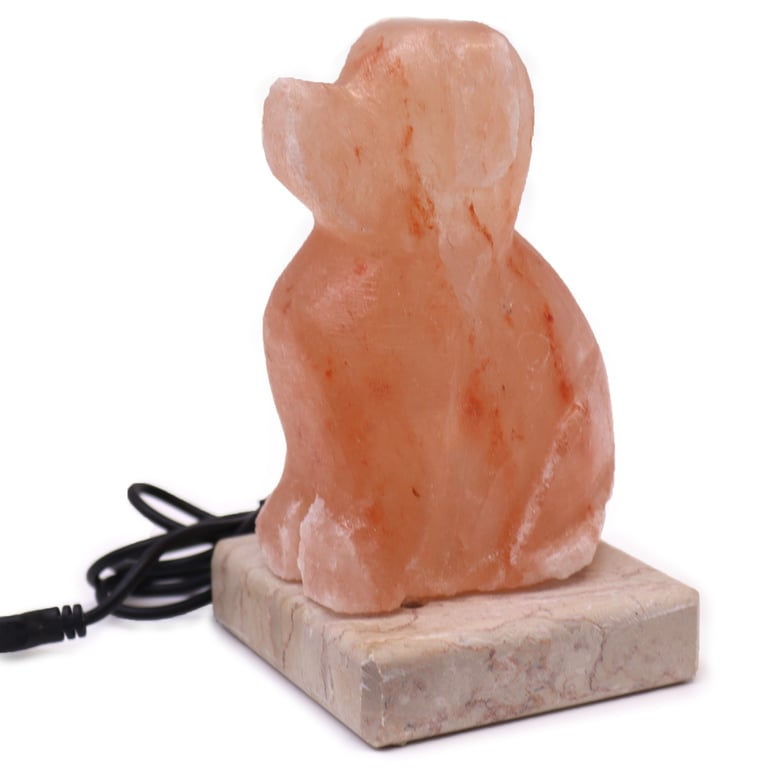 USB Dog-Shaped Multifunctional - Durable Design by TechPaws