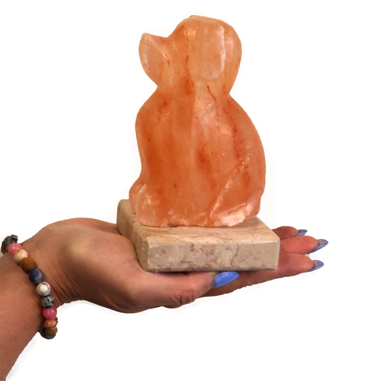 USB Dog-Shaped Multifunctional - Durable Design by TechPaws