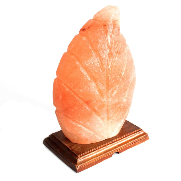Natural Fern Shape Salt Lamp - Handcrafted Aromatherapy & Air Purifier